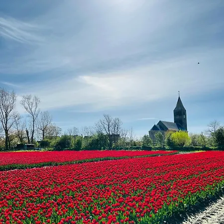 Nieuwland 3* Den Oever