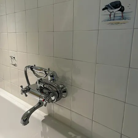 Nieuwland 3*