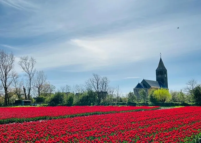 Nieuwland 3* Den Oever