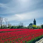 Nieuwland 3* دن أوفر
